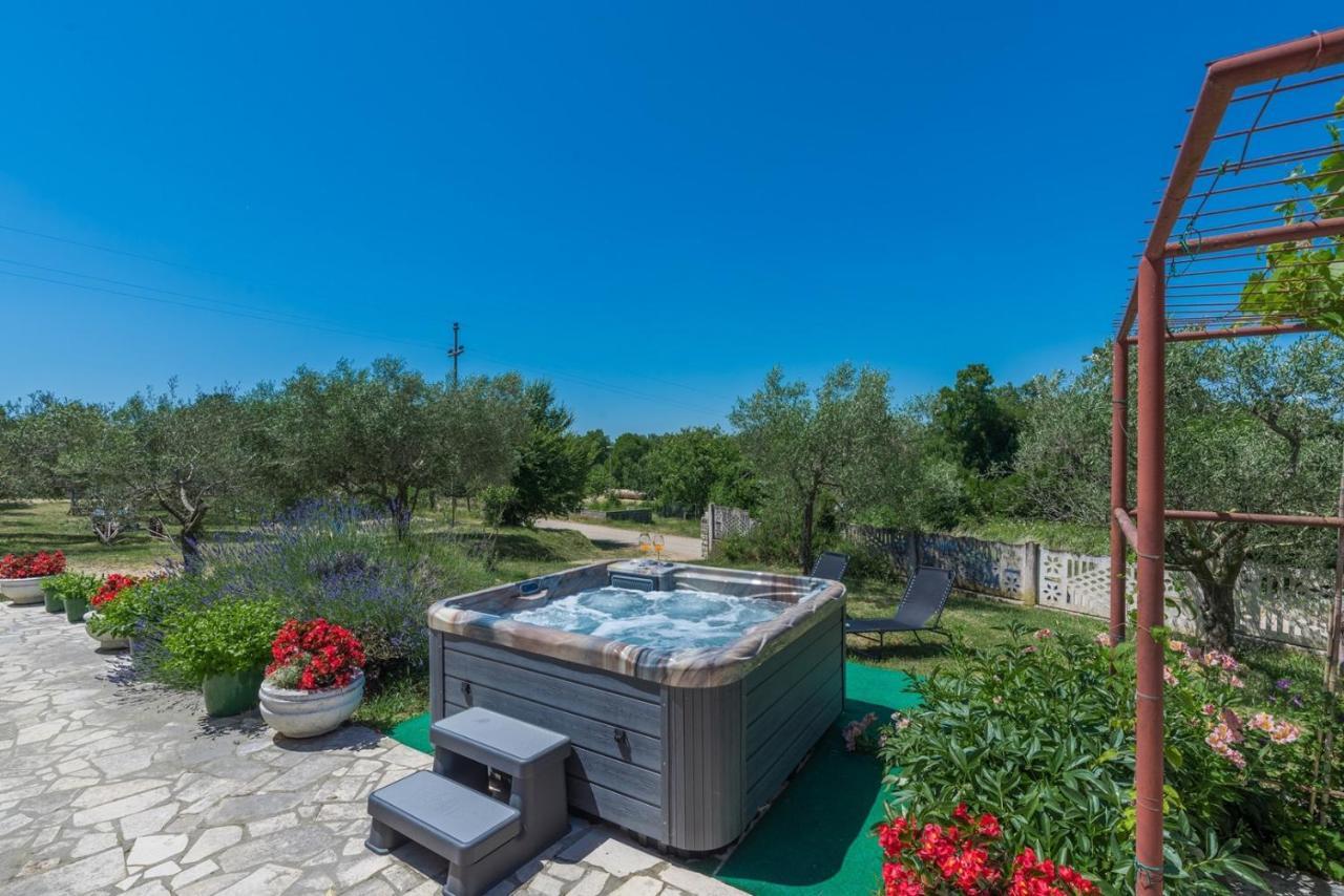 Ferienhaus Zora With Whirlpool Sveti Lovreč Pazenatički Dış mekan fotoğraf